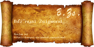 Bányai Zsigmond névjegykártya