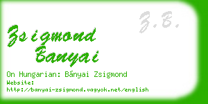 zsigmond banyai business card